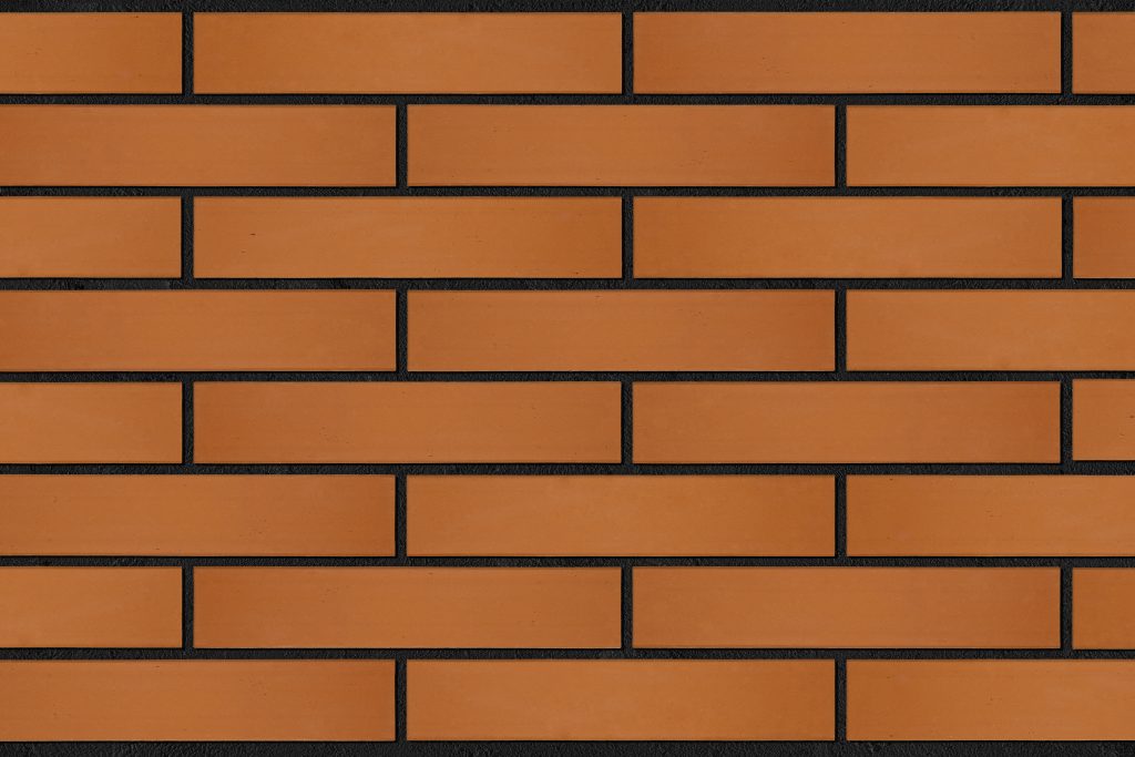 OR0102 placuta