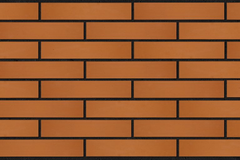OR0102 placuta