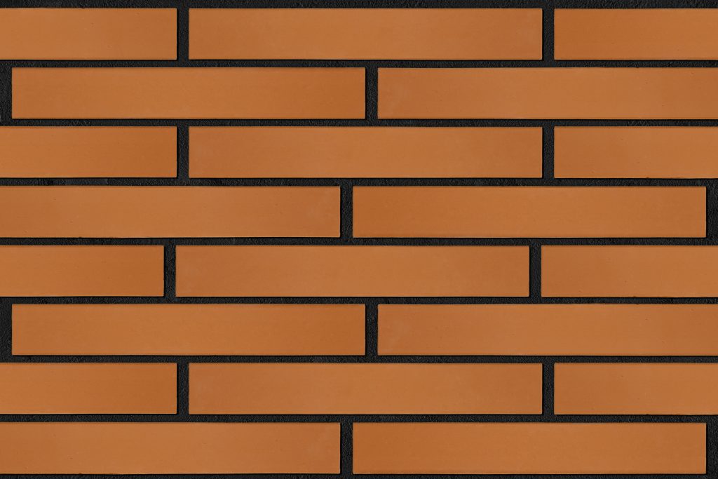 OR0103 placuta