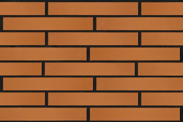 OR0103 placuta